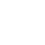 Gemini CLI